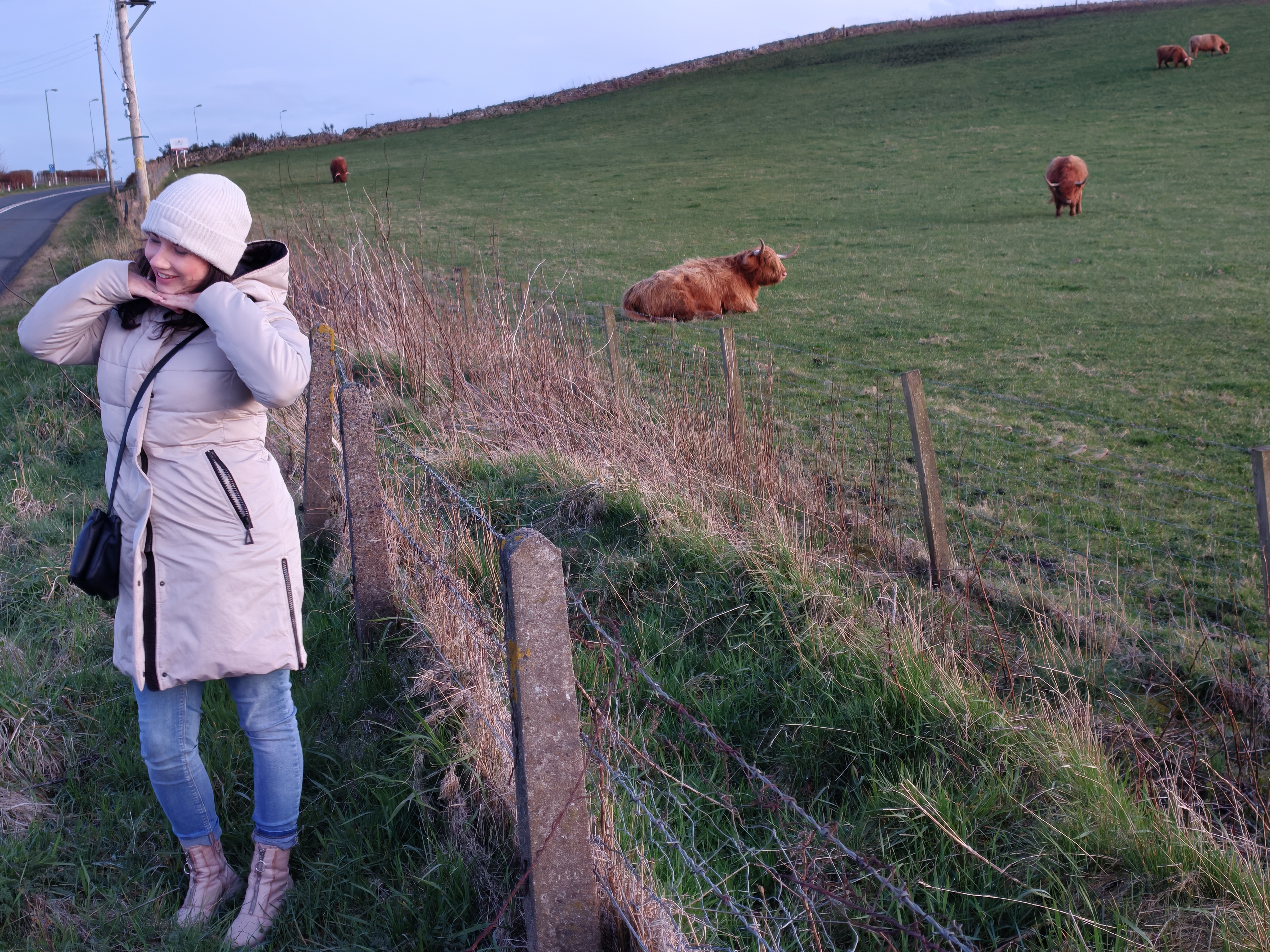 Guest enjoying Highland cattle in an Aberdeenshire field