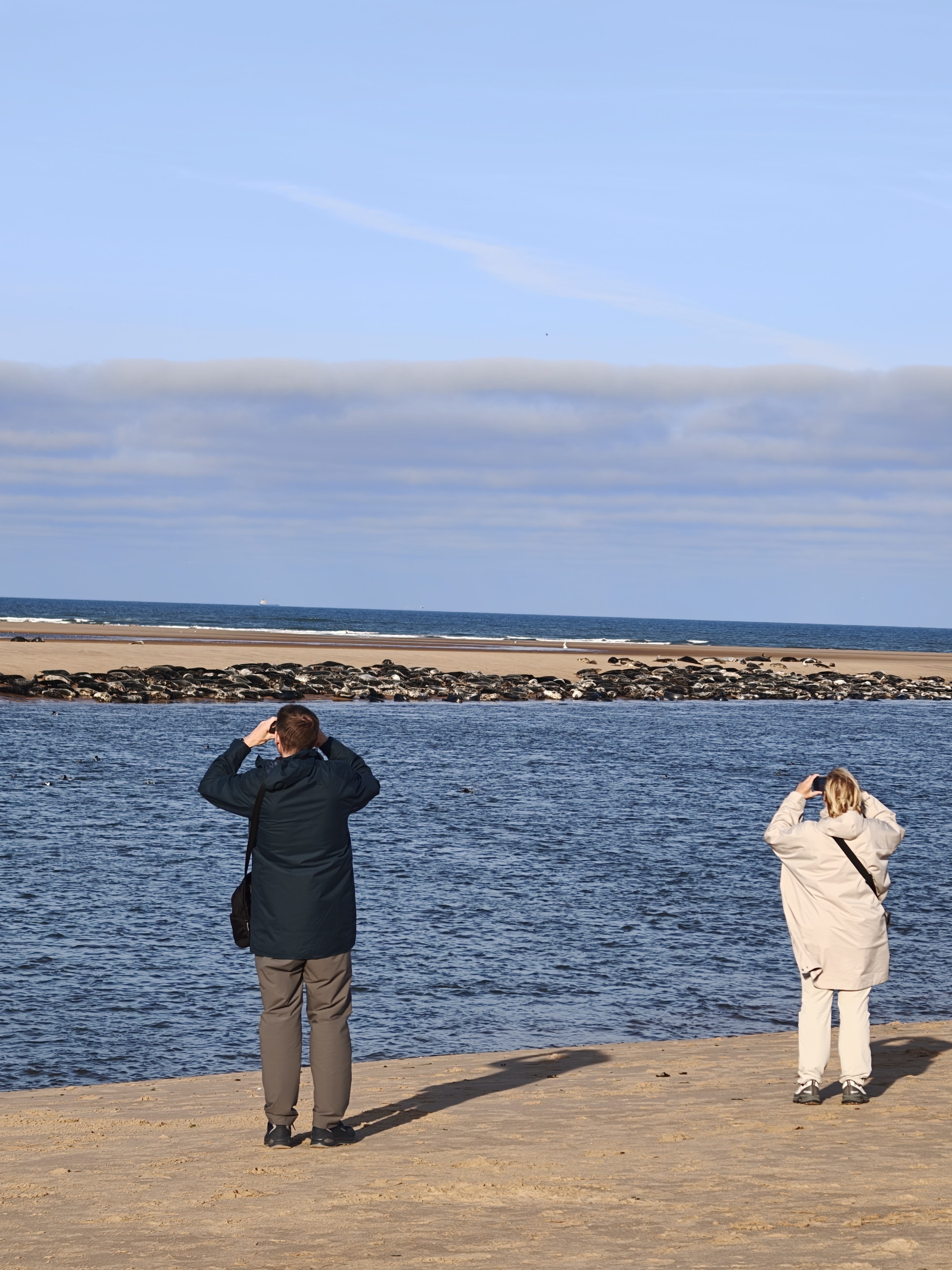 Guests watching seals on the North East coast