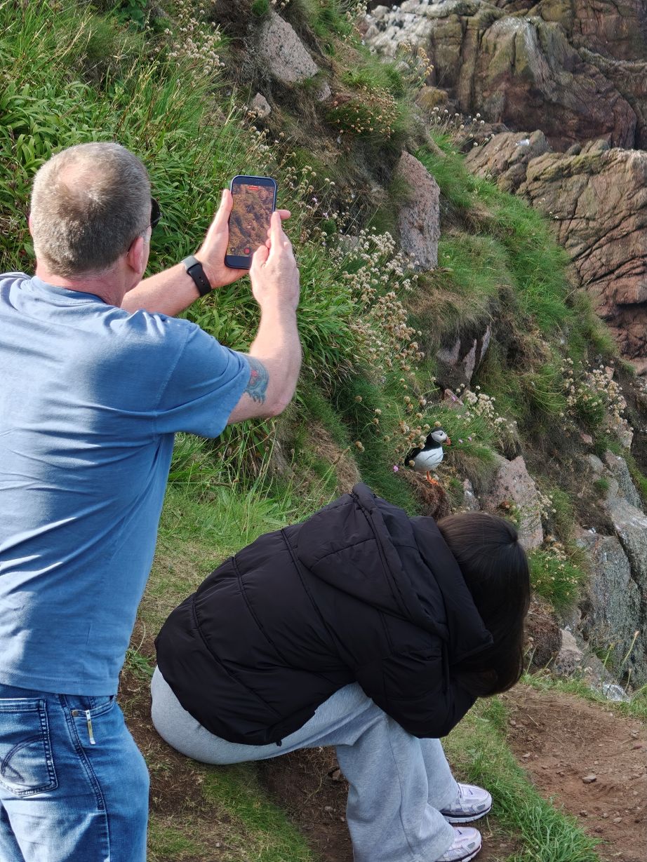 Puffin Hunter gallery image 11
