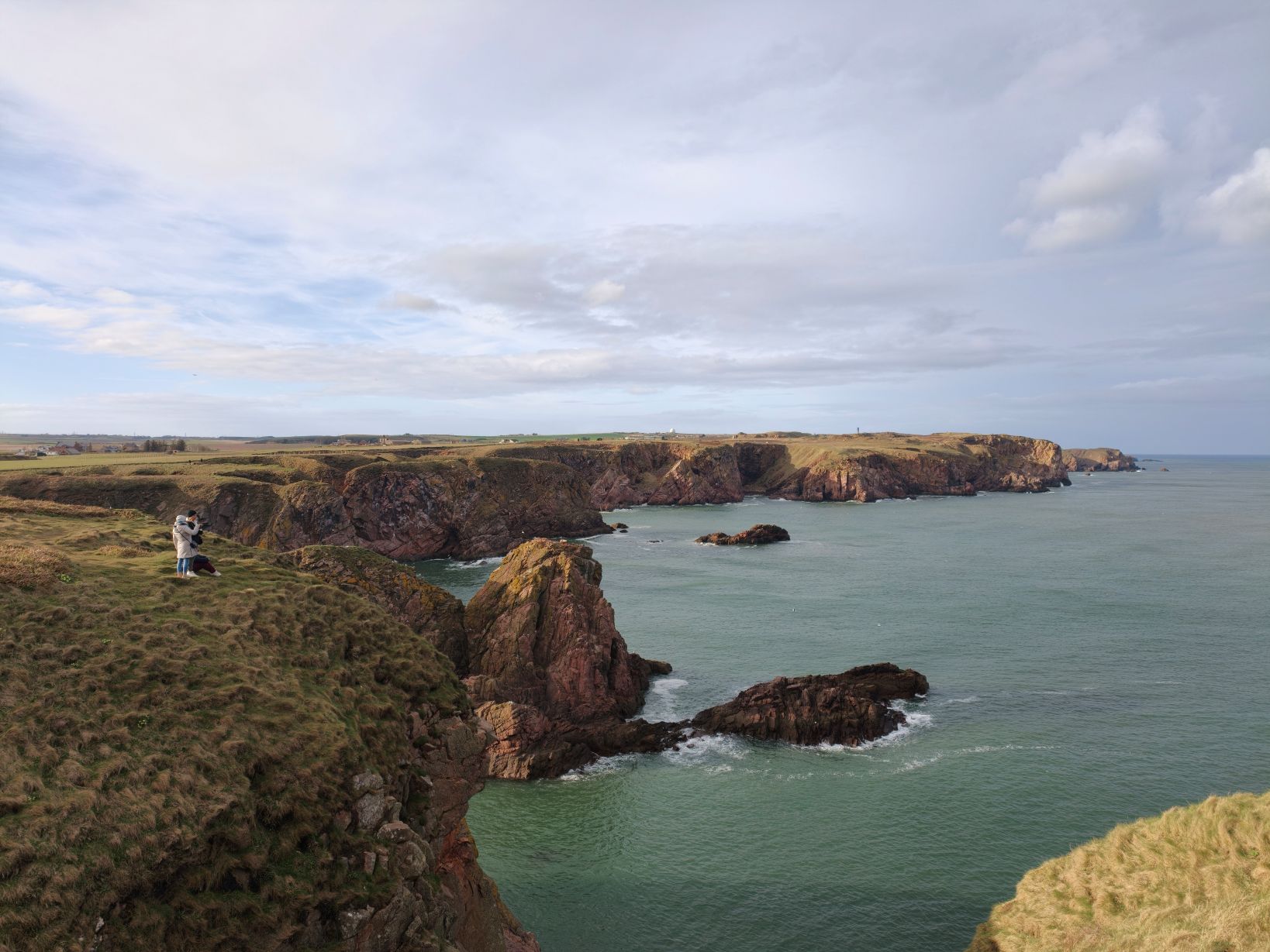 Puffin Hunter gallery image 2