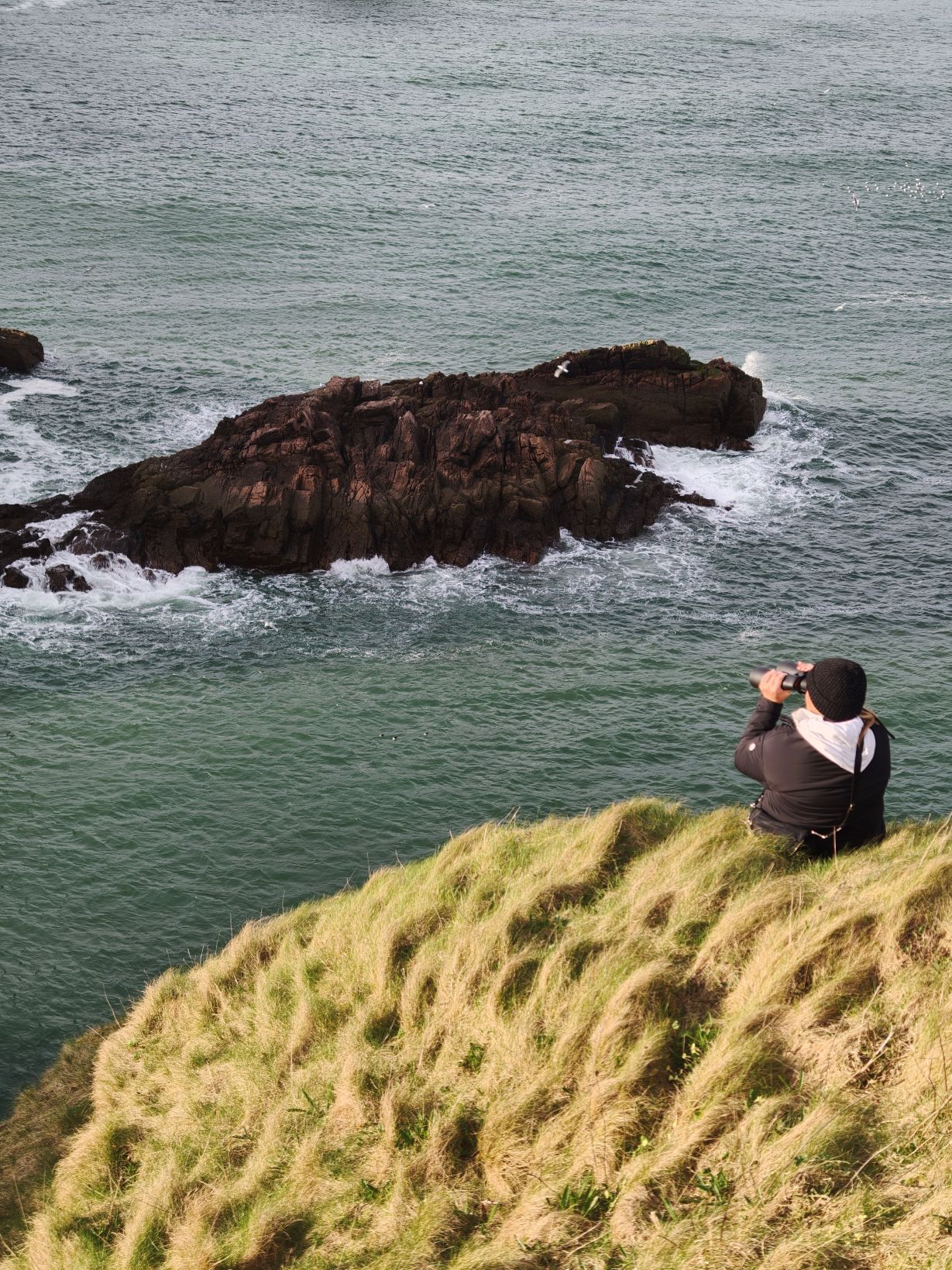 Puffin Hunter gallery image 3