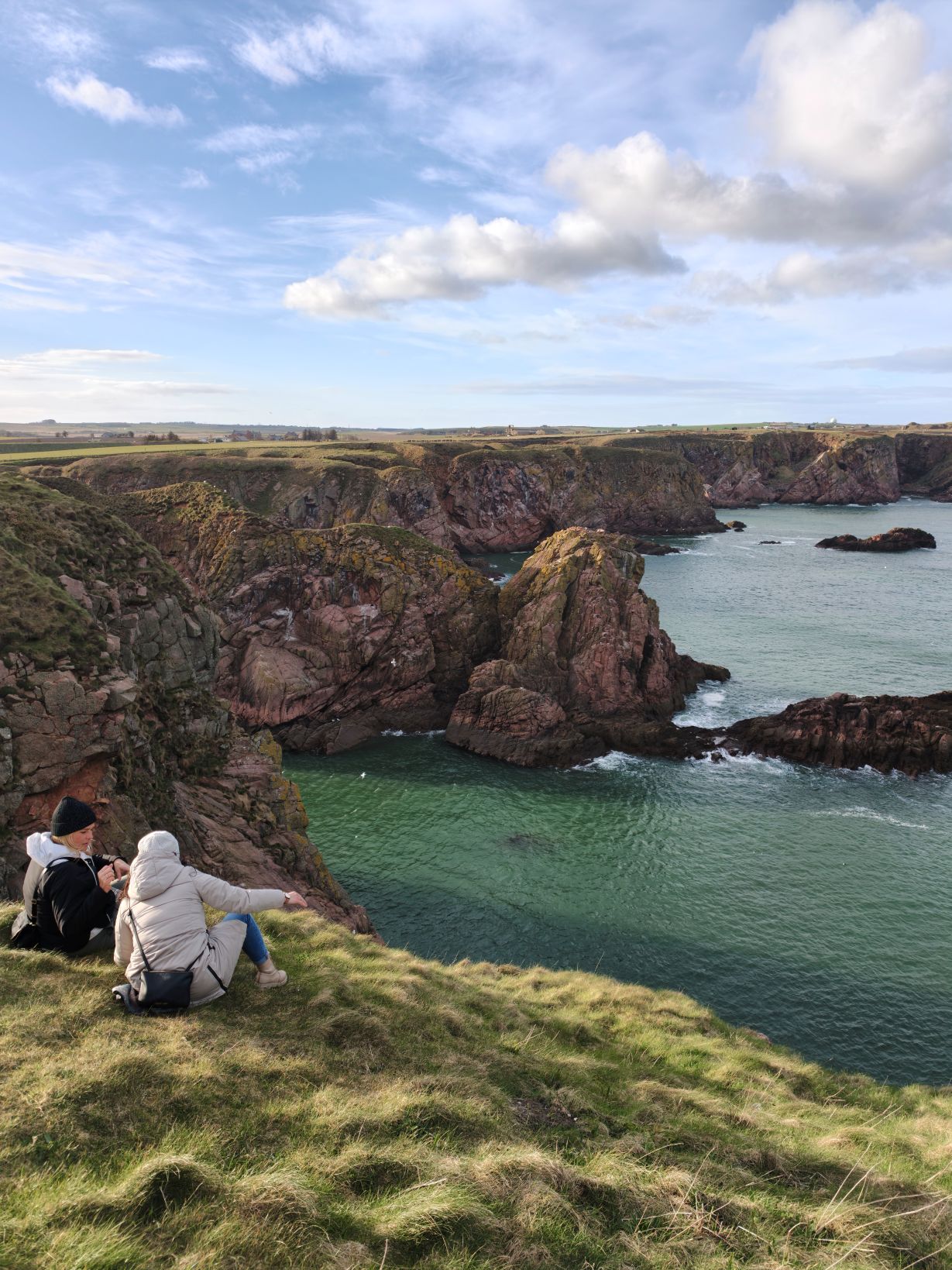 Puffin Hunter gallery image 4