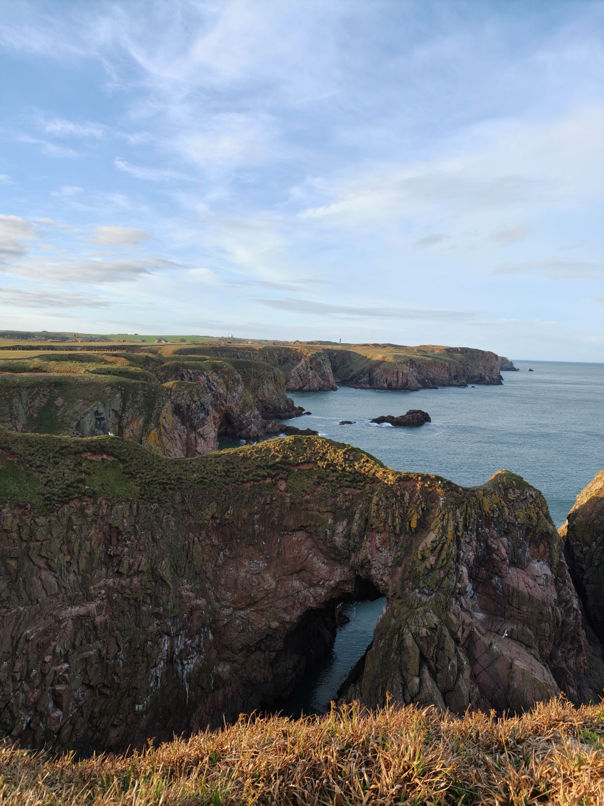 Puffin Hunter gallery image 5