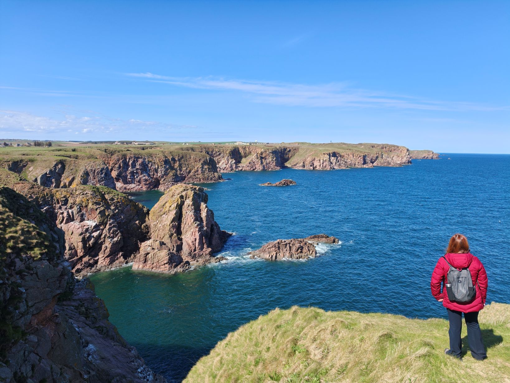 Puffin Hunter gallery image 6
