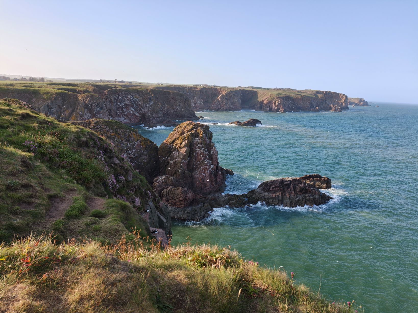 Puffin Hunter gallery image 8